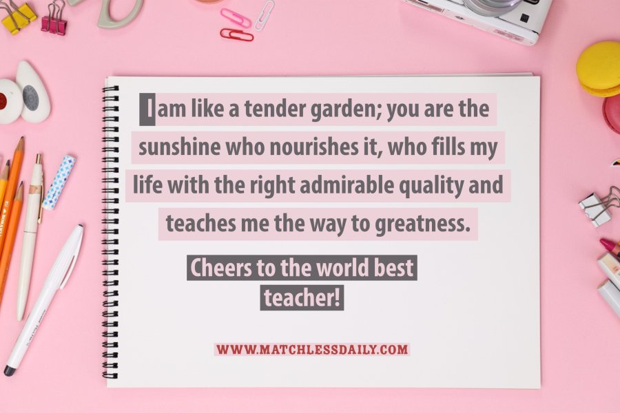 Top 100 You Are The Best Teacher Quotes In Matchless Daily