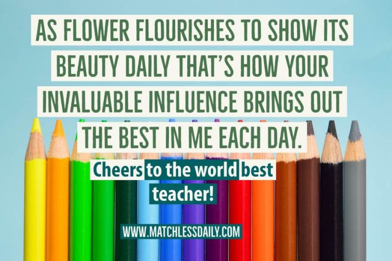 Top 100 You Are the Best Teacher Quotes - Matchless Daily